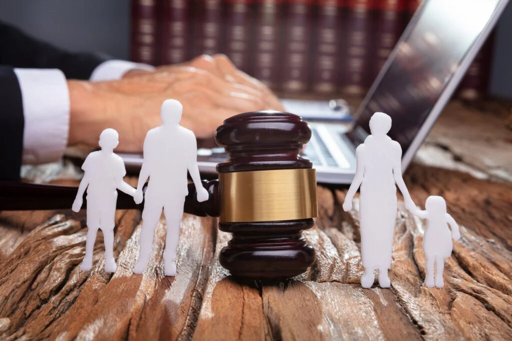 what family lawyers do