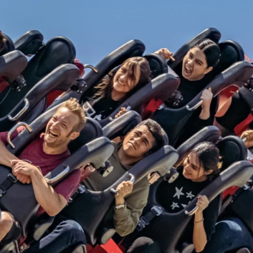 how busy is thorpe park
