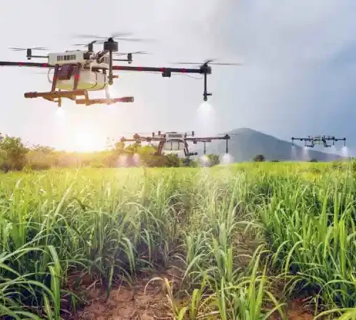 How to Set Up an Agritech Business