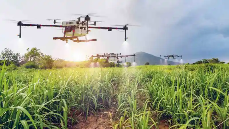 How to Set Up an Agritech Business