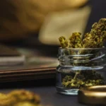 How to Eliminate Smell of Weed: Comprehensive Odor Management Guide