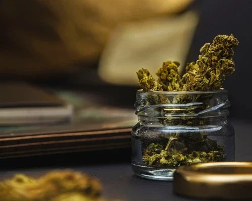 how to eliminate smell of weed