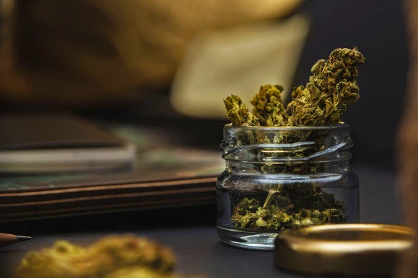 how to eliminate smell of weed