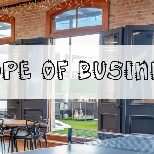 what is the scope of business