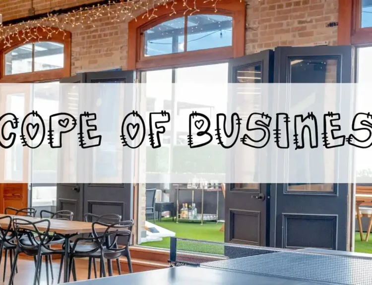 what is the scope of business