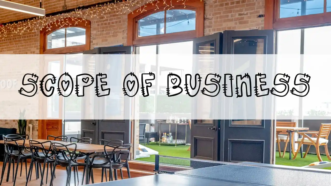 what is the scope of business